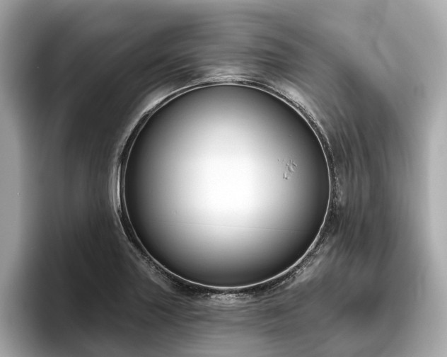 X0000096631227200802051100