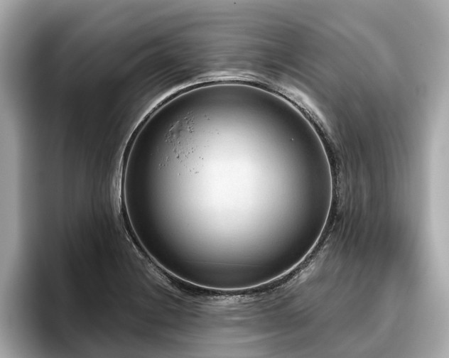 X0000096631228200802051100