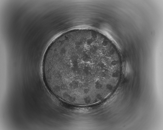X0000096631229200802051100
