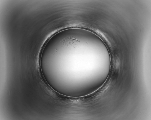 X0000096631230200802051100