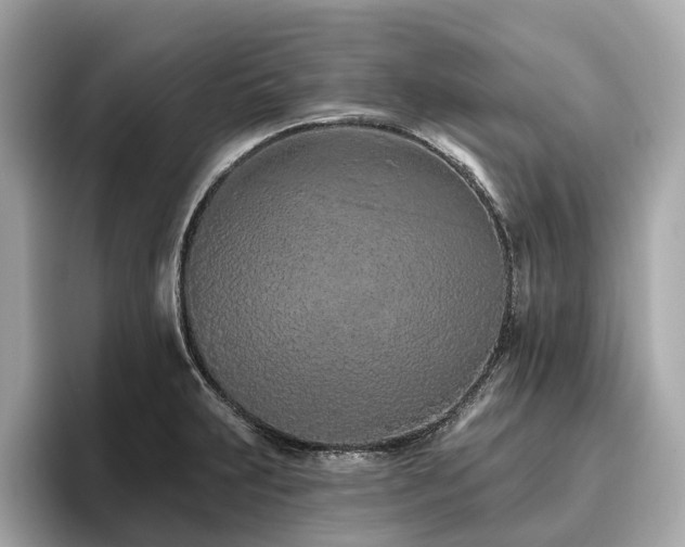 X0000096631231200802051100
