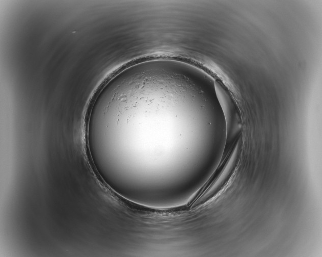 X0000096631232200802051100