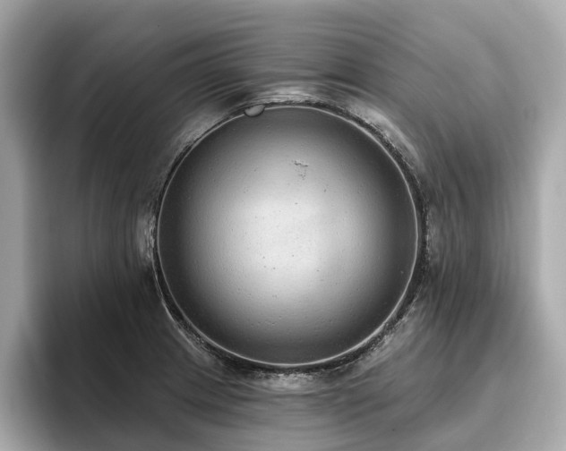 X0000096631233200802051100
