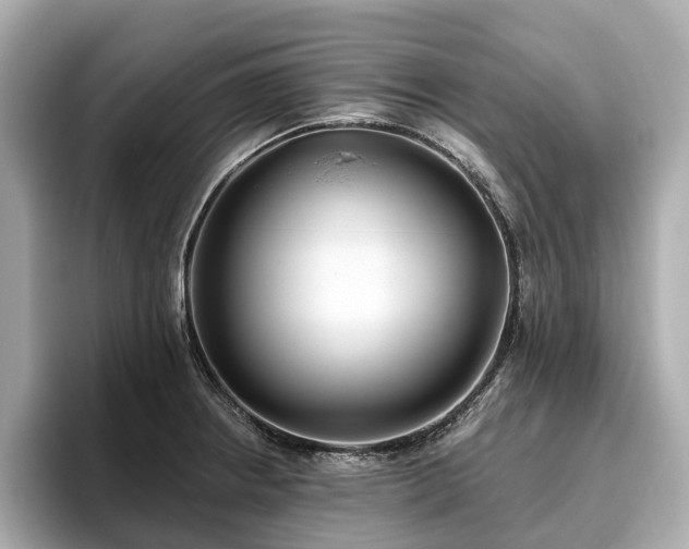X0000096631234200802051100