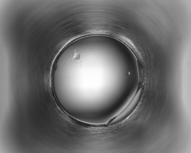 X0000096631236200802051100