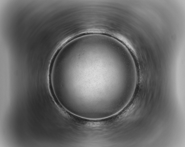 X0000096631237200802051100