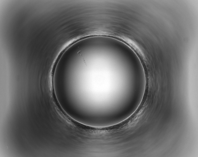 X0000096631238200802051100