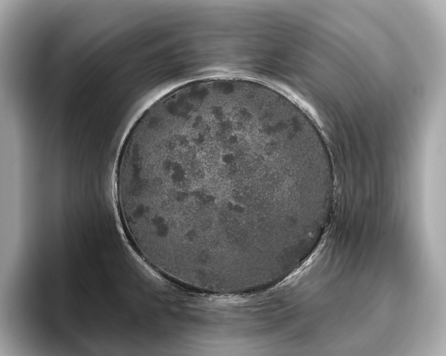 X0000096631239200802051100