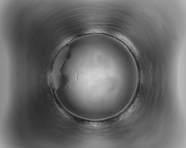 X0000096631241200802051100