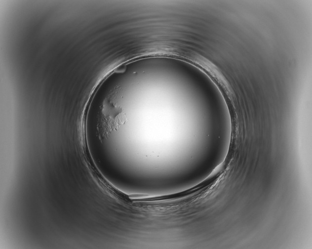 X0000096631242200802051100