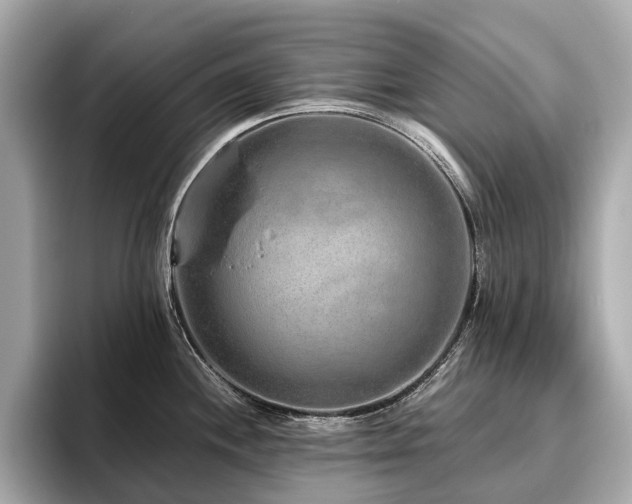 X0000096631244200802051100
