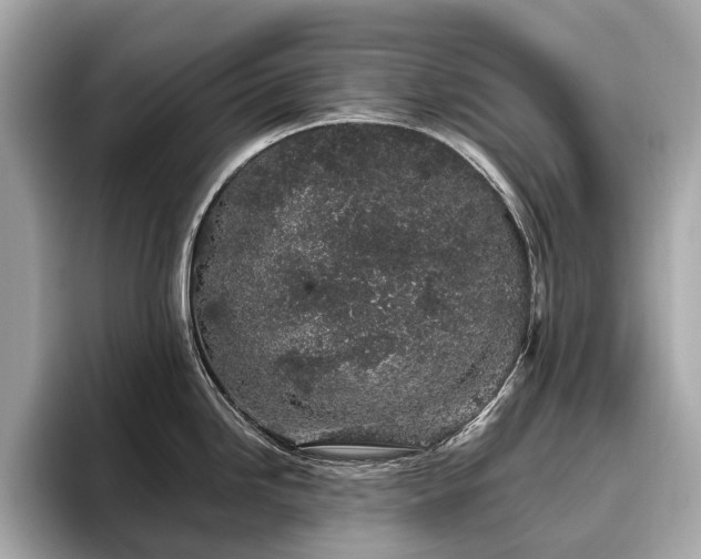 X0000096631246200802051100