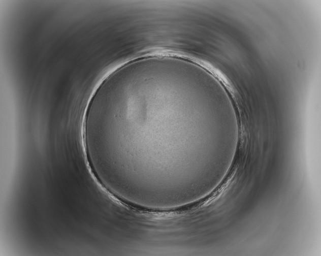 X0000096631247200802051100