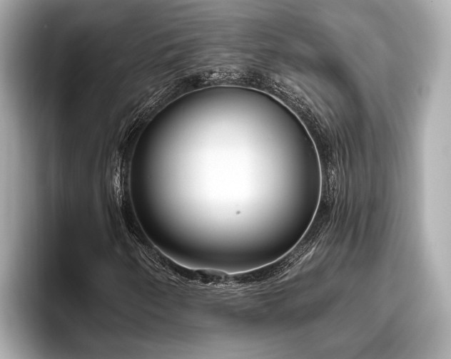 X0000096631250200802051059