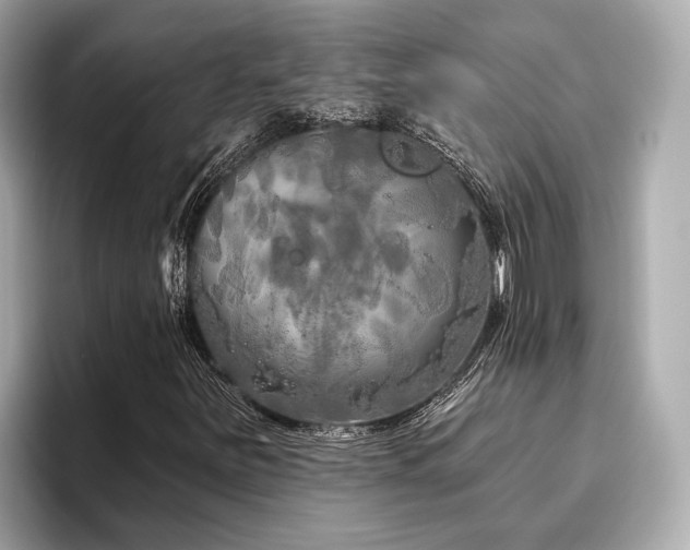 X0000096631251200802051059