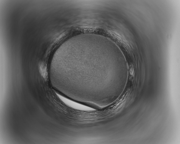 X0000096631252200802051059