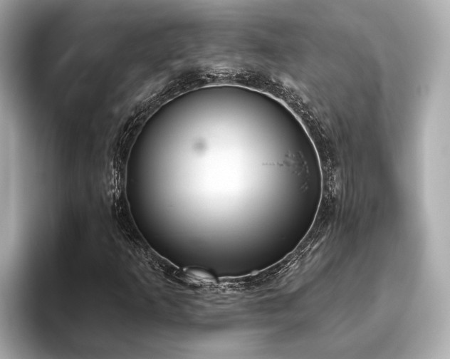X0000096631253200802051059