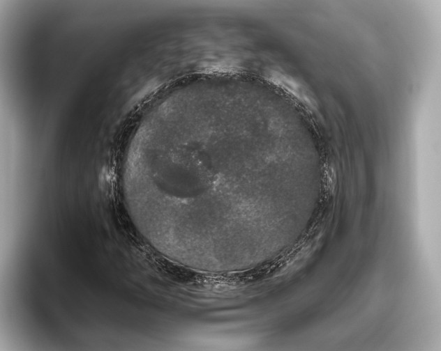 X0000096631254200802051059
