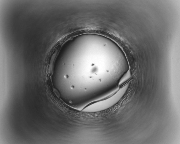 X0000096631255200802051059