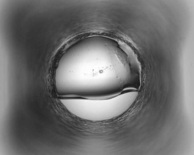 X0000096631256200802051059