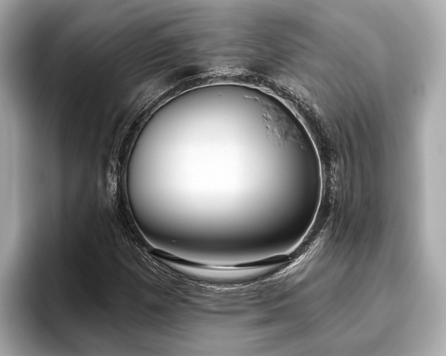 X0000096631257200802051059