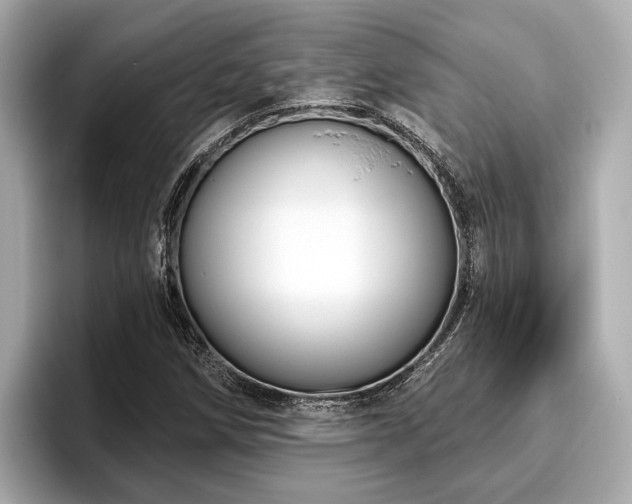 X0000096631258200802051059