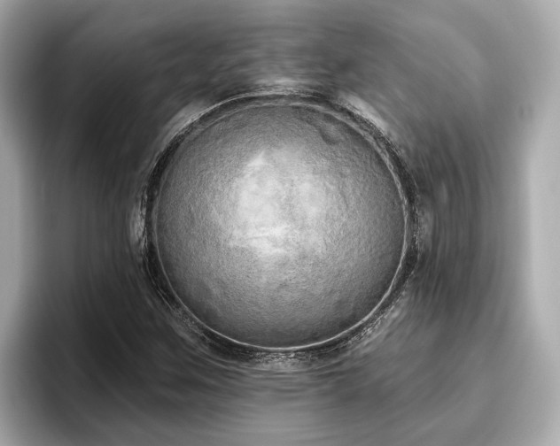 X0000096631259200802051059