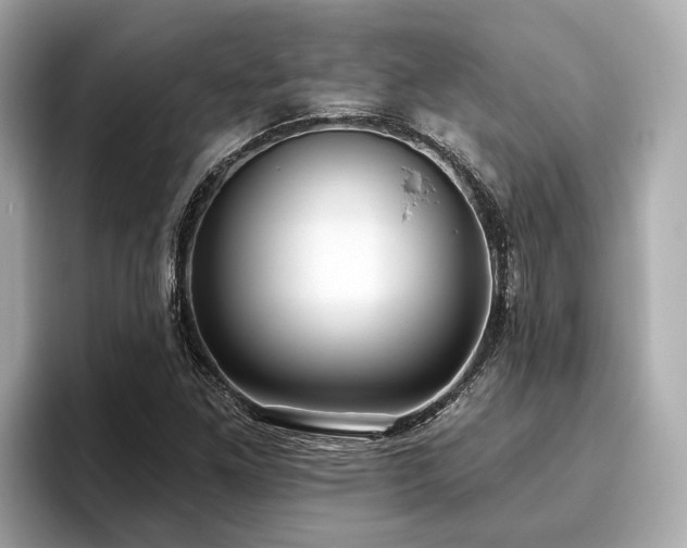 X0000096631261200802051059