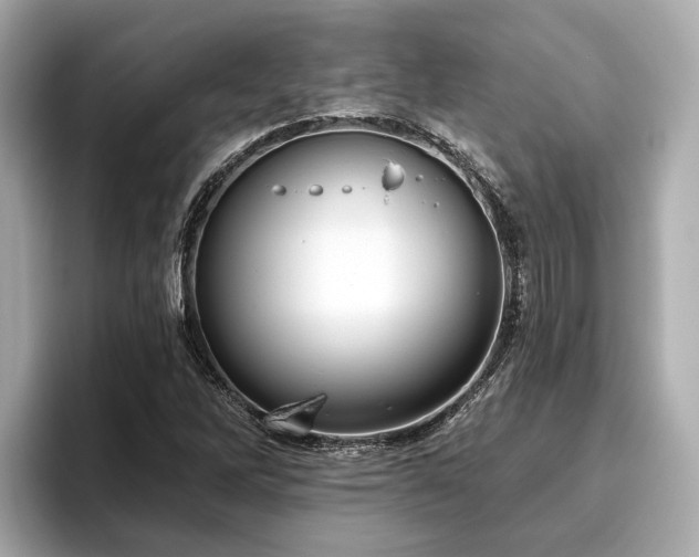 X0000096631262200802051059