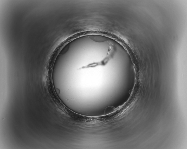 X0000096631263200802051059