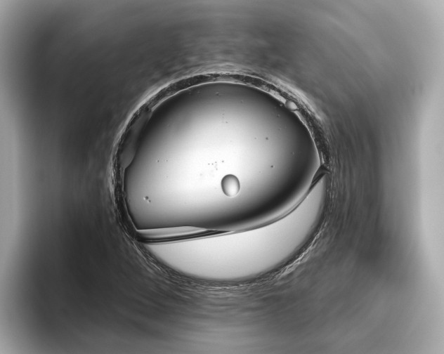 X0000096631264200802051059