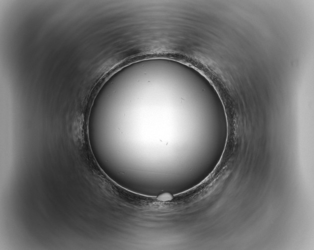 X0000096631265200802051059