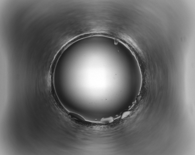 X0000096631268200802051059