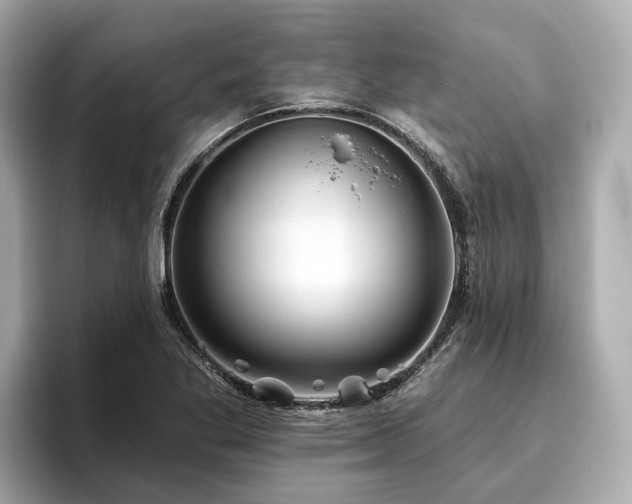 X0000096631269200802051059