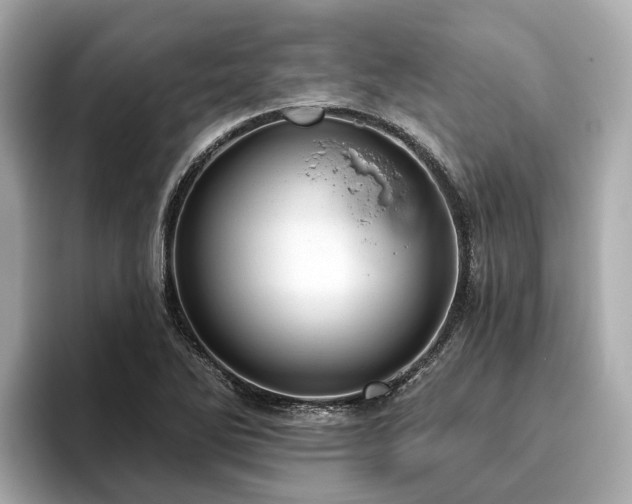 X0000096631270200802051059