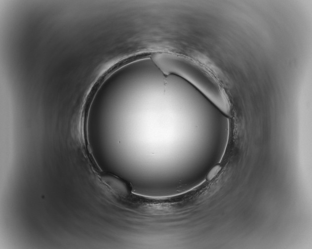 X0000096631272200802051059