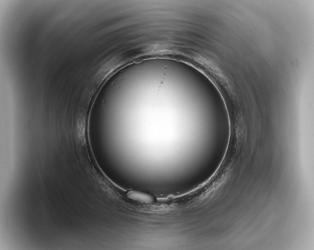 X0000096631273200802051059