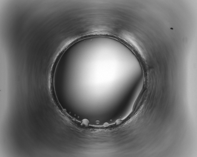 X0000096631277200802051059