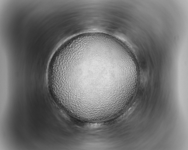 X0000096631278200802051059