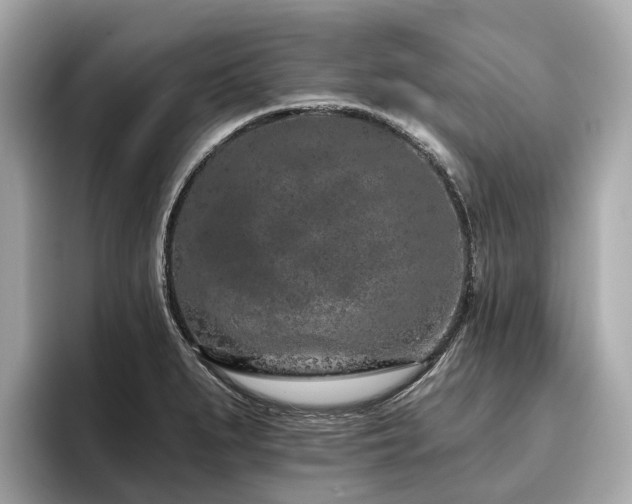 X0000096631279200802051059
