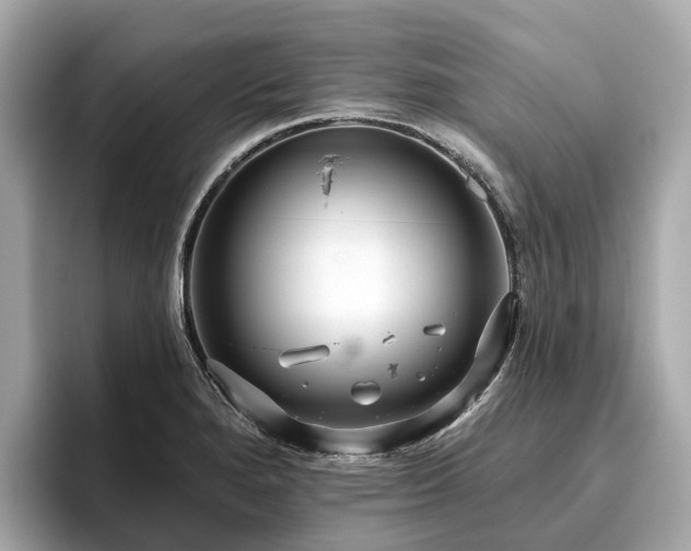 X0000096631280200802051059