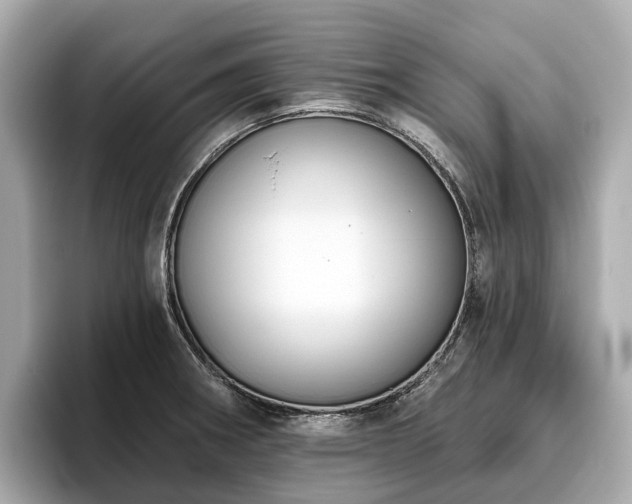 X0000096631282200802051059