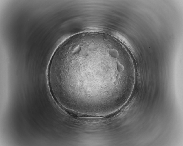 X0000096631283200802051059
