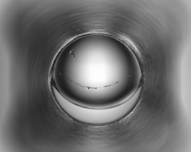 X0000096631284200802051059