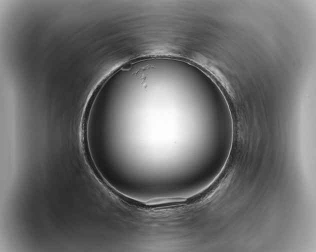 X0000096631285200802051059