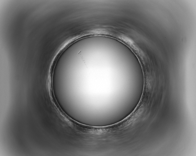 X0000096631286200802051059