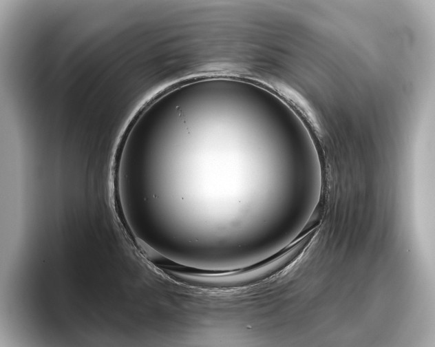 X0000096631288200802051059