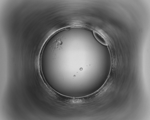 X0000096631291200802051059