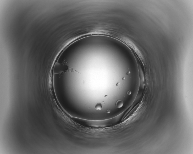 X0000096631292200802051059