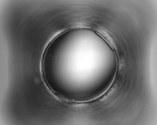 X0000096631293200802051059